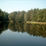 Staw Wroński w Tenczynku