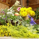 11217561_873859355996994_2108250249568432628_n