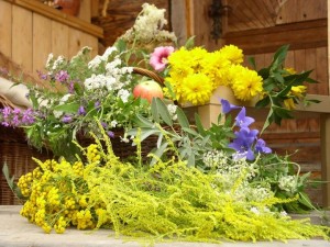 11217561_873859355996994_2108250249568432628_n