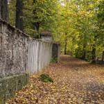 12231446_1059658920720272_134300472_n