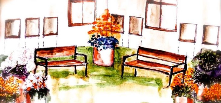 Ziołowy Zakątek – już myślimy o wiośnie!