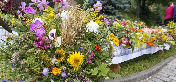 ZIELE Z ZIÓŁ. Warsztaty zielarskie oraz konkurs na tradycyjny bukiet.