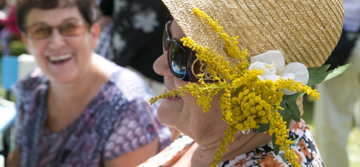 Sowy, seniorzy, wianki i zioła!