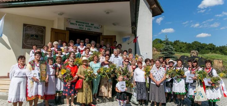 ZIELE z ZIÓŁ – wyniki konkursu