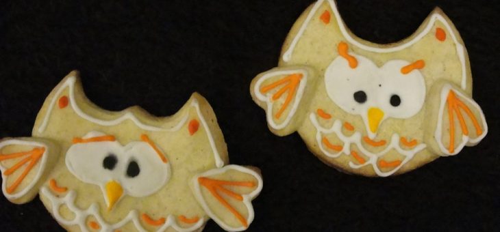 NOC SÓW – już za 2 dni!