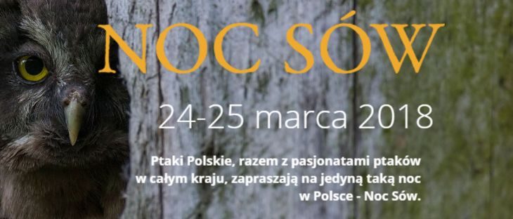 NOC SÓW – z nami już po raz trzeci!
