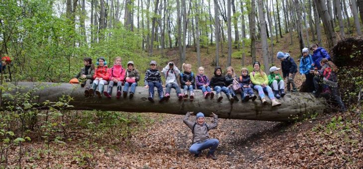 LEŚNA AKADEMIA w Tenczynku
