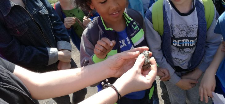 LEŚNA AKADEMIA – najlepiej nam w błocie!