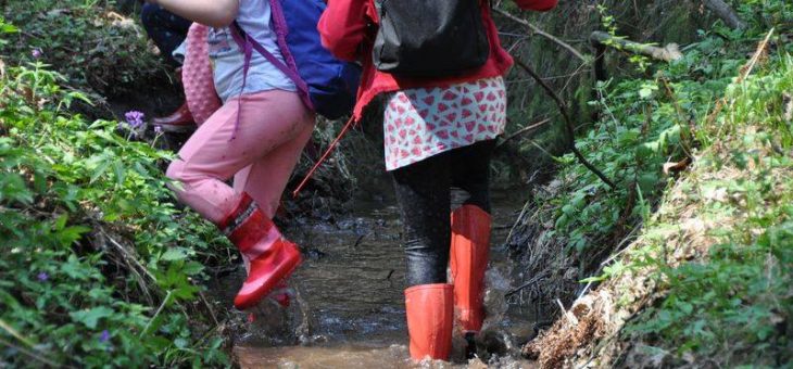 Leśna Akademia w Tenczynku – zapisy!