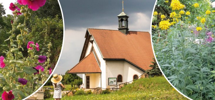 ZIELE z ZIÓŁ – konkurs na Święto Matki Boskiej Zielnej w Rudnie.