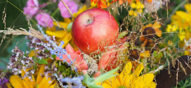 Ziołowy konkurs online – wyniki.