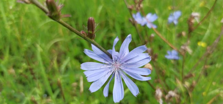 KONKURS w Rudnie i konkurs online – regulaminy.