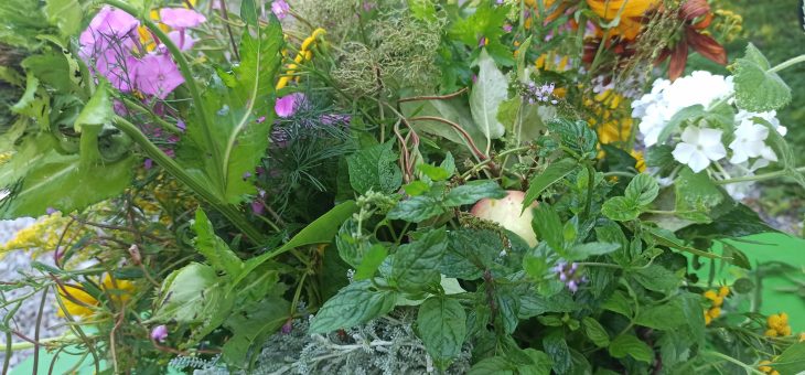 Ziele z ziół – już za nami!