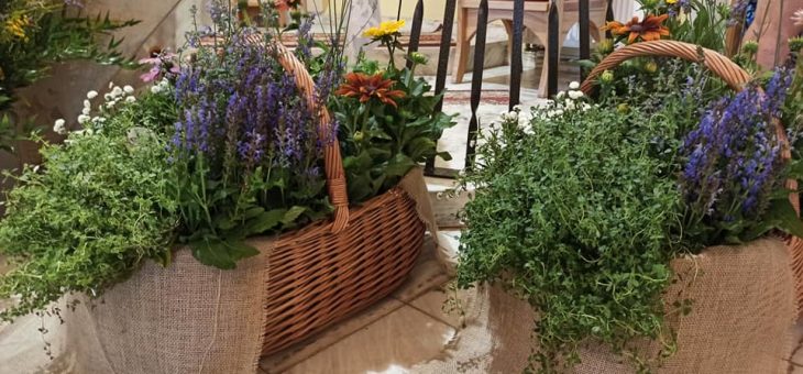 Regulamin konkursu ZIELE z ZIÓŁ 2022