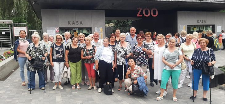 SIERPIEŃ W KLUBIE SENIOR+