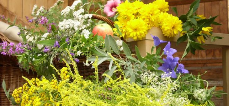 Warsztaty ekologiczne w Mnikowie i Brzezince