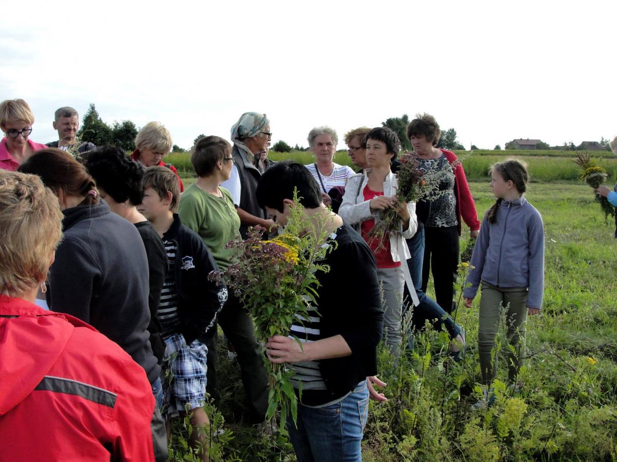 11221601_975381625837039_7930706792131429238_o