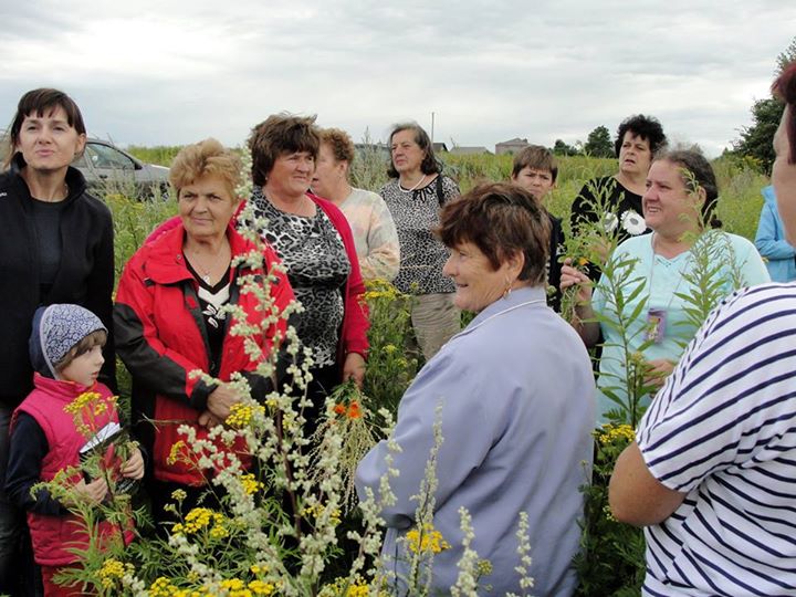 11707508_975380679170467_4693087052299303665_n