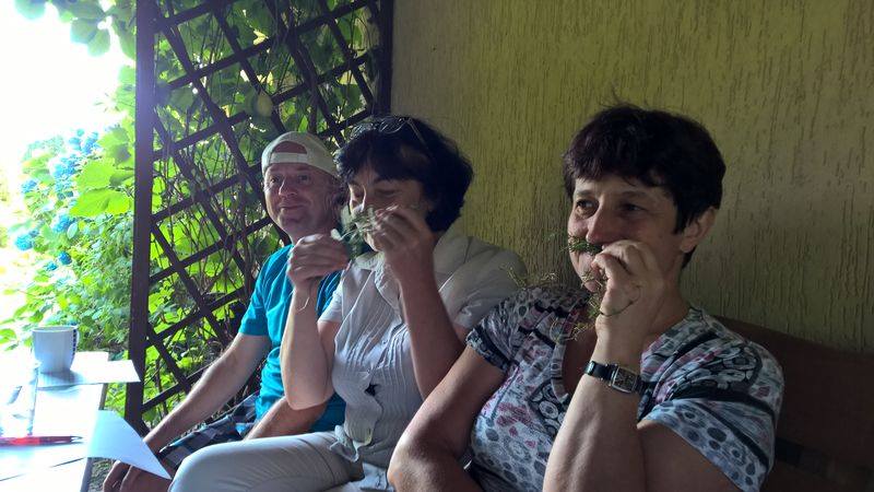 11755205_877960238920239_7388096631604894414_n