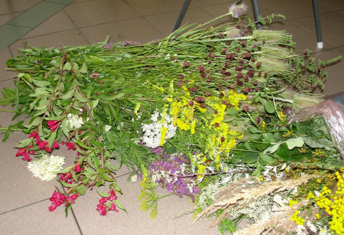 11792024_978566125518589_5298547572433840703_o