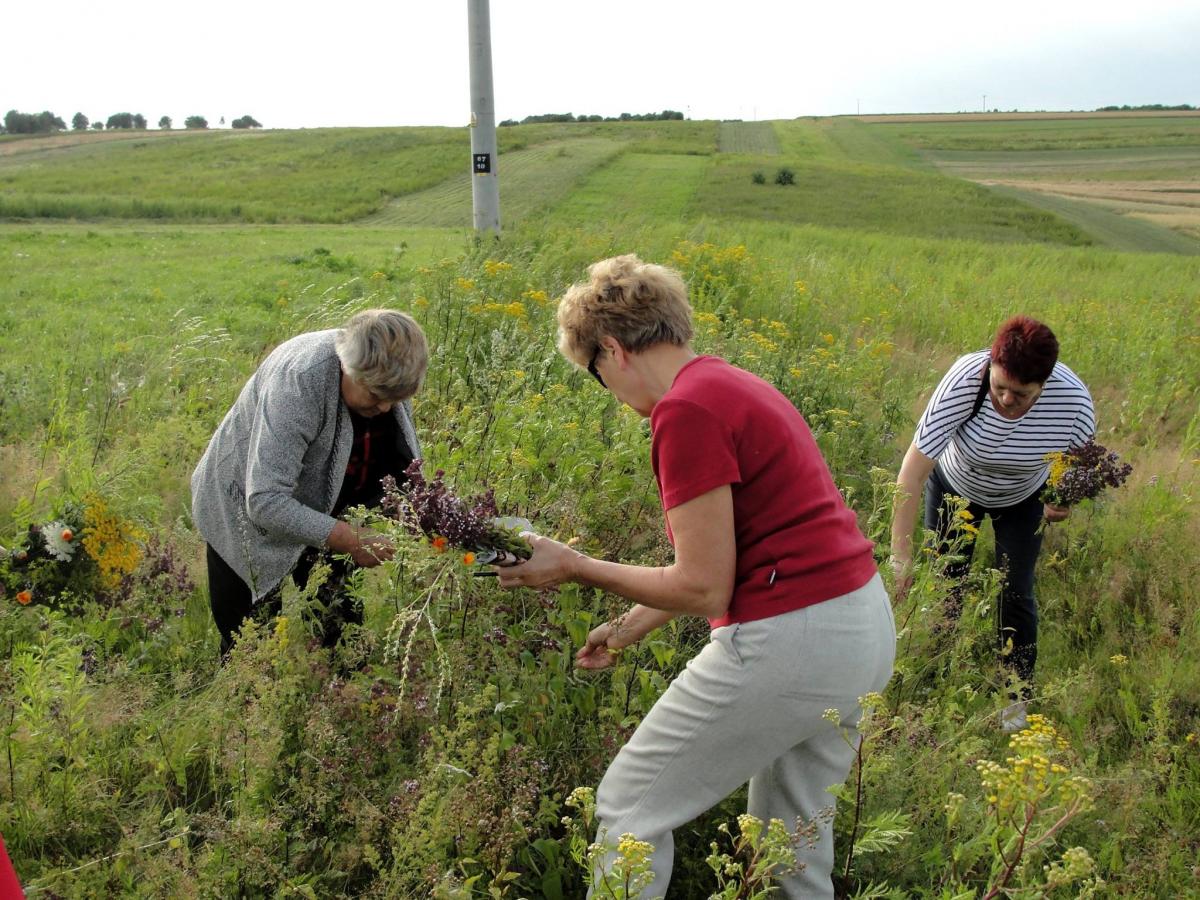 11794321_975381502503718_7995739553762817413_o