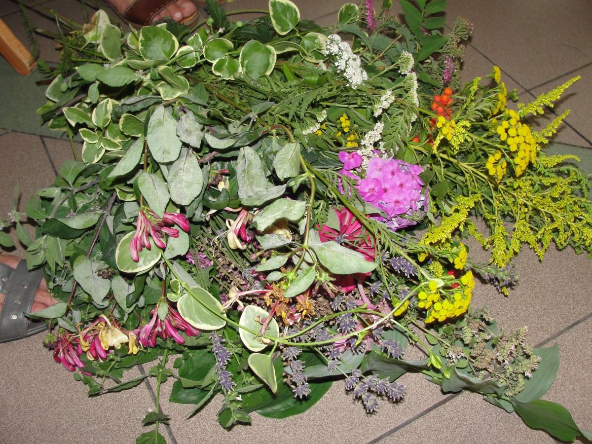 11807265_978566142185254_3894598251386504019_o