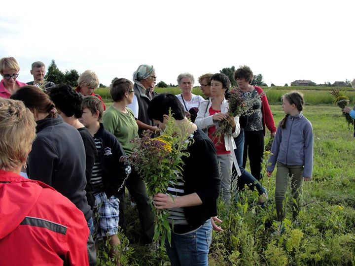 11825083_975381625837039_7930706792131429238_n