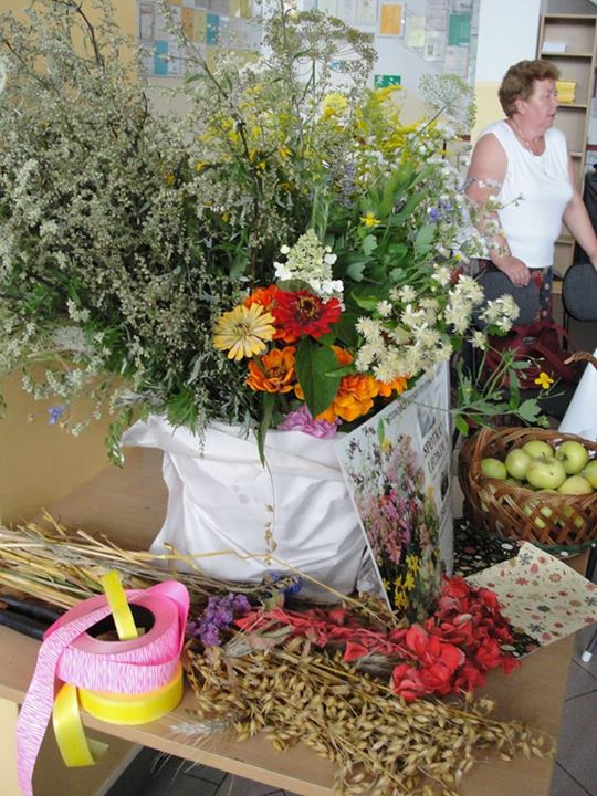 11831745_978561248852410_2498769984106463904_n