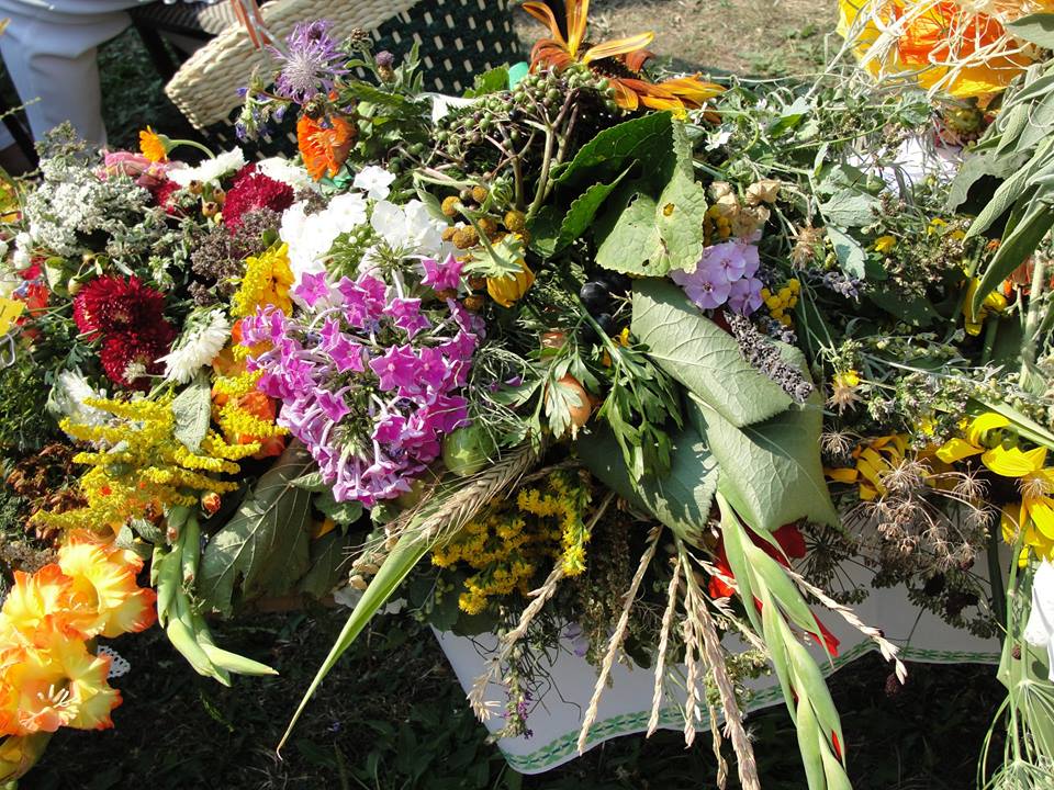 11887835_986588141383054_969959499208142963_n