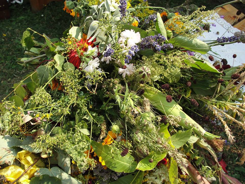 11887890_986588491383019_2173403565592062863_n