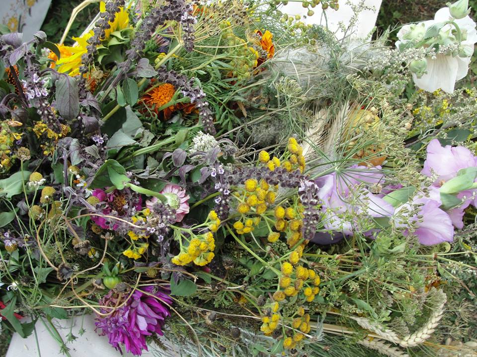 11892021_986588321383036_5111881068854635829_n