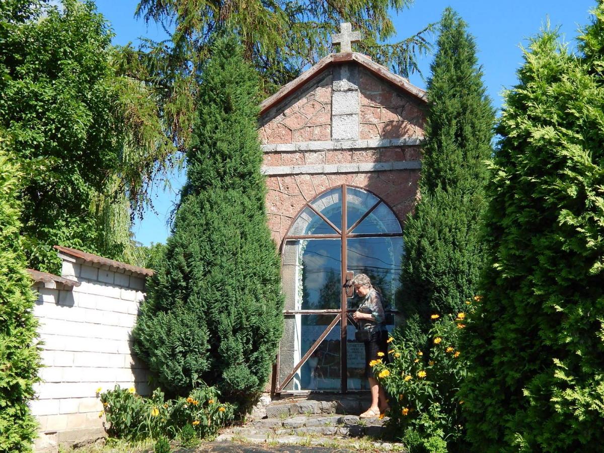 13575587_1124917924242036_1436493912_o