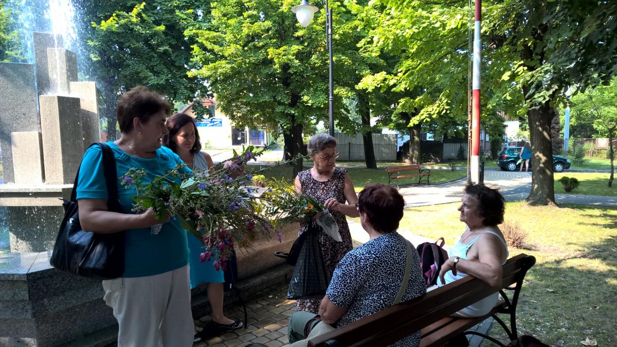 WP_20150810_09_56_39_Pro 