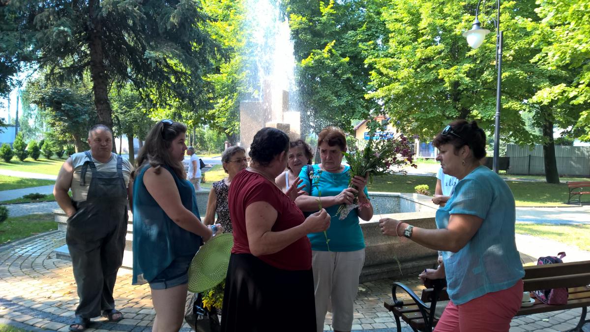 WP_20150810_09_58_13_Pro 