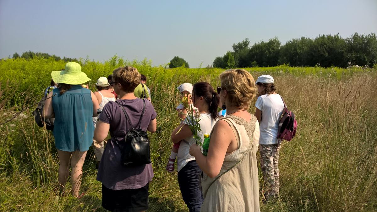 WP_20150810_10_31_04_Pro 