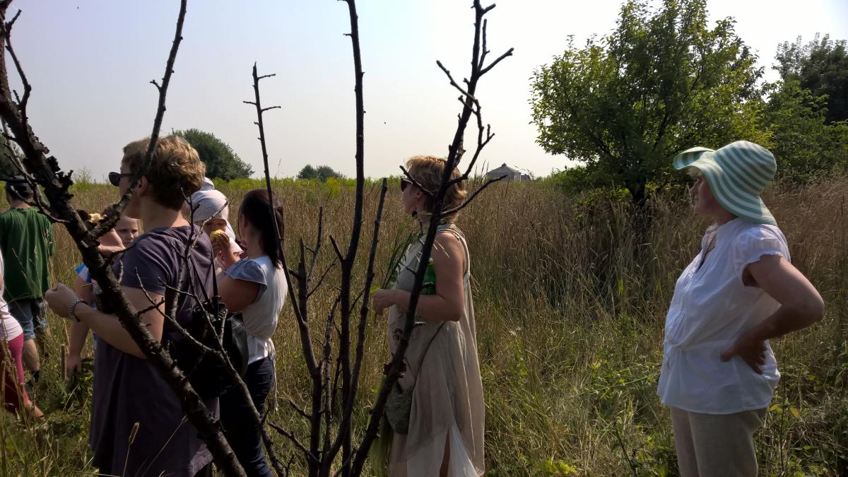 WP_20150810_10_31_17_Pro 