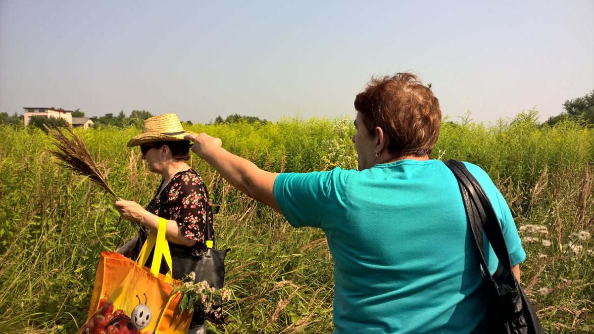 WP_20150810_10_31_30_Pro 