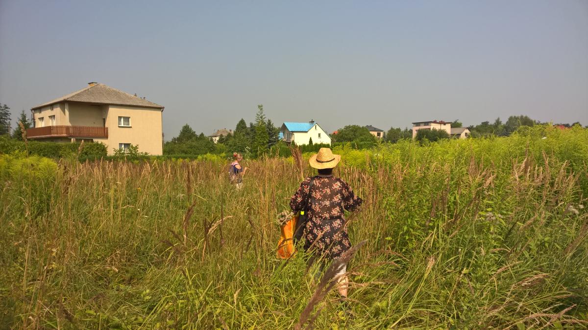 WP_20150810_10_31_34_Pro 