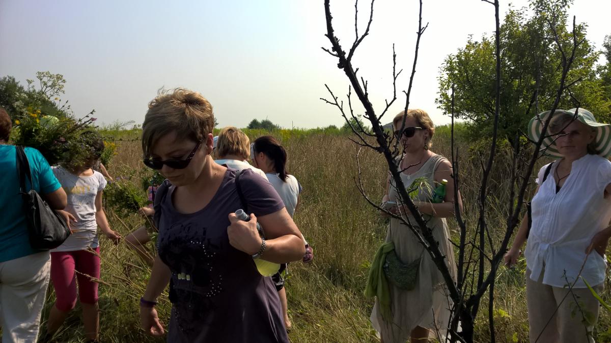 WP_20150810_10_31_40_Pro 