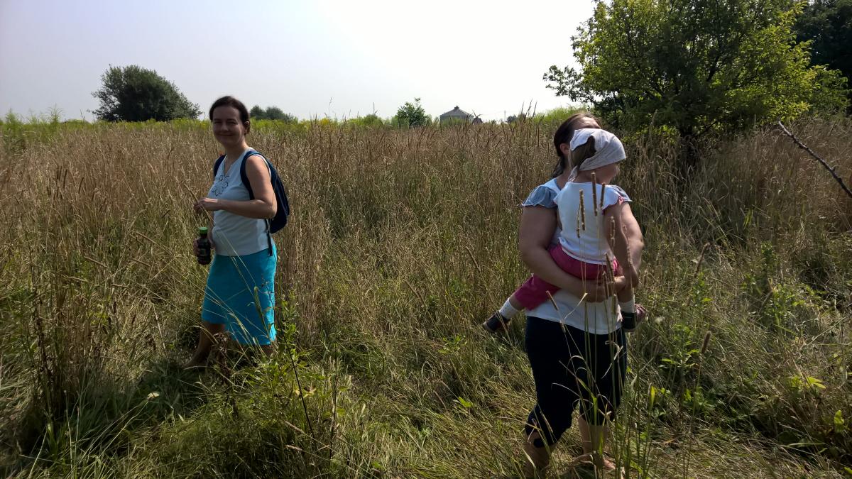 WP_20150810_10_31_59_Pro 