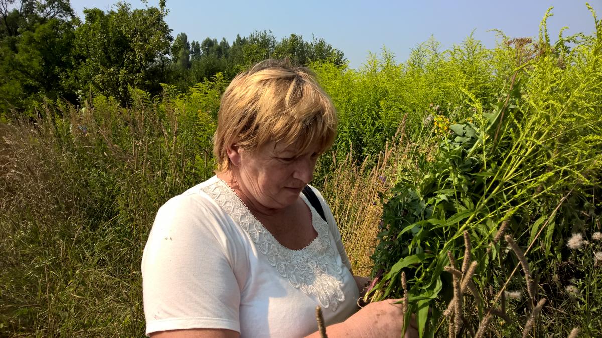 WP_20150810_10_32_38_Pro 