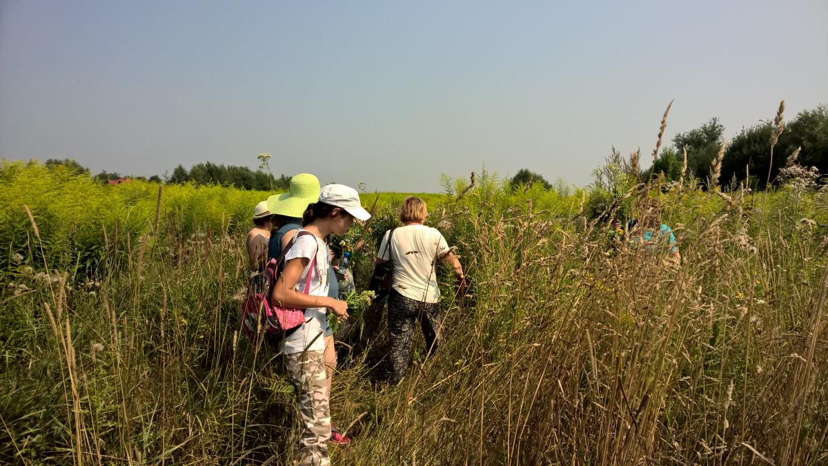 WP_20150810_10_32_58_Pro 