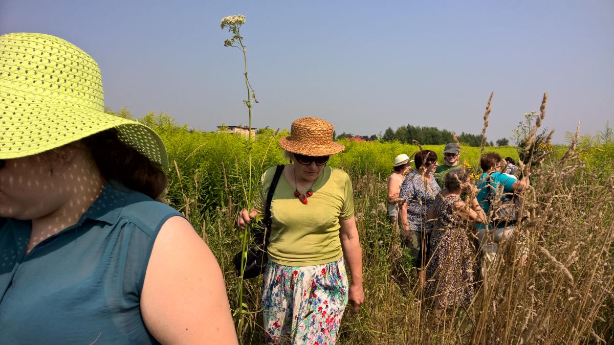 WP_20150810_10_33_09_Pro 