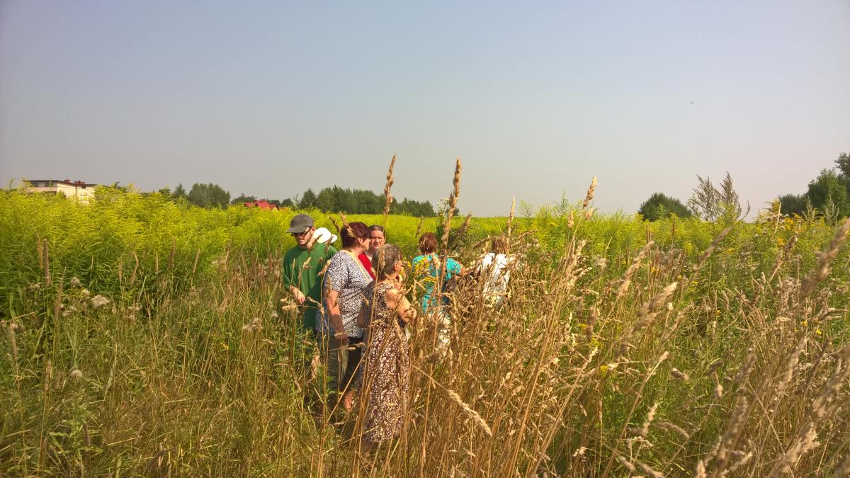 WP_20150810_10_33_14_Pro 