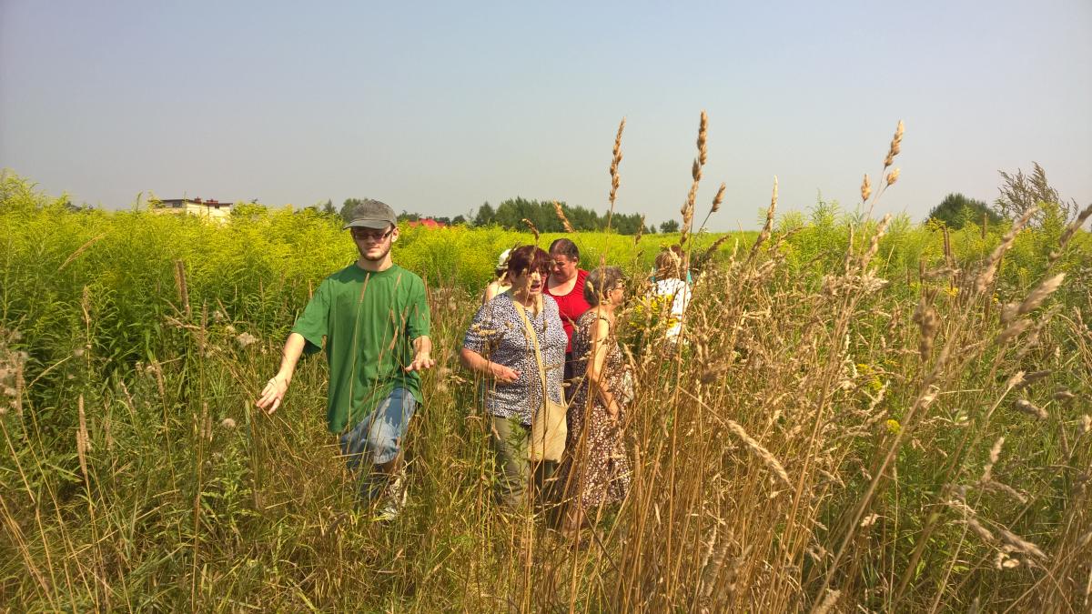 WP_20150810_10_33_19_Pro 