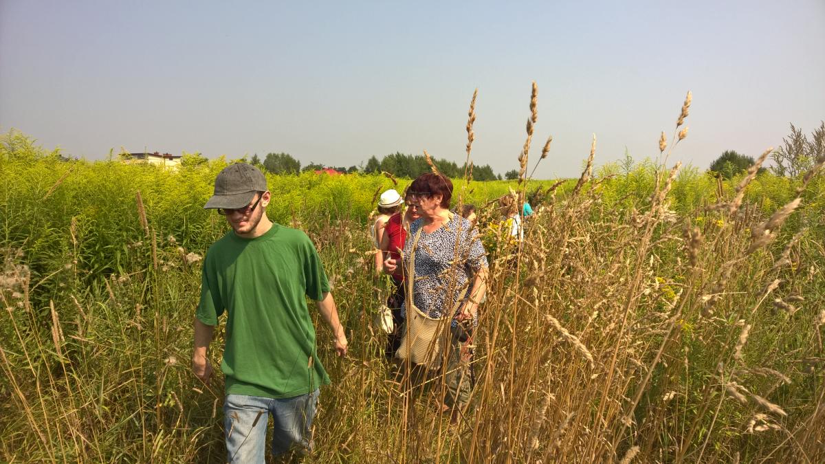 WP_20150810_10_33_21_Pro 