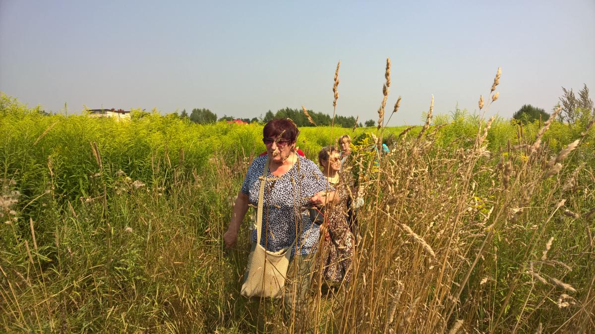 WP_20150810_10_33_23_Pro 