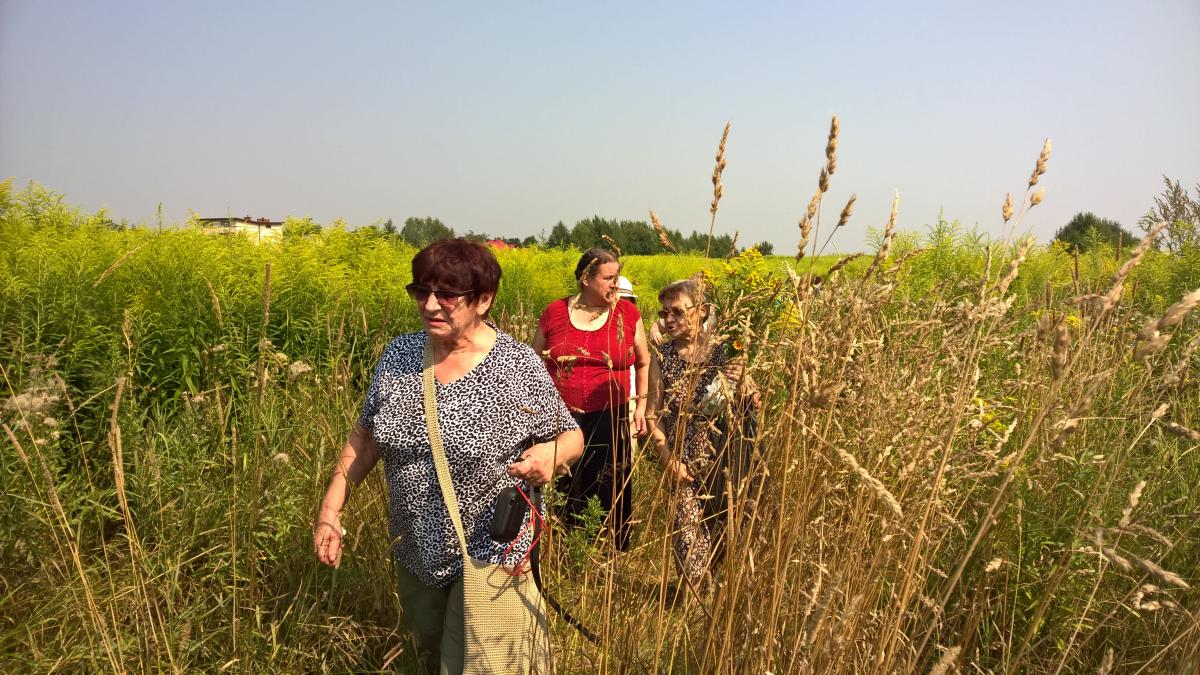 WP_20150810_10_33_24_Pro 