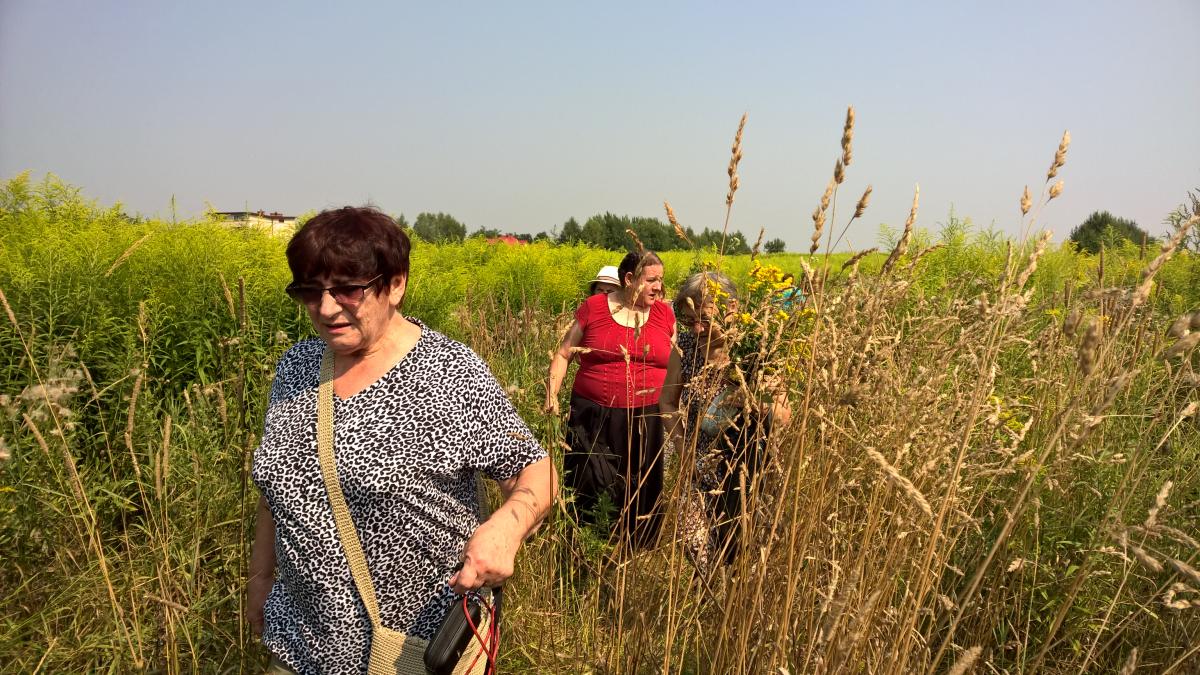 WP_20150810_10_33_25_Pro