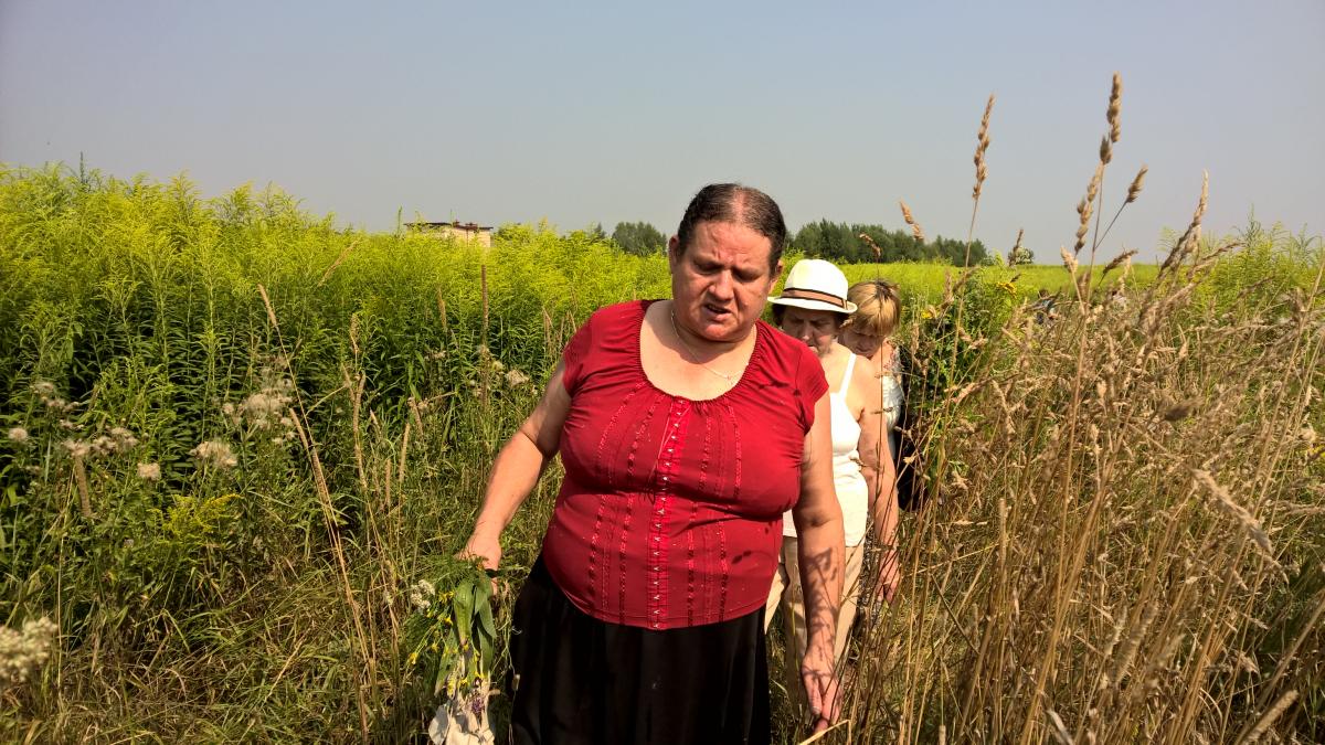 WP_20150810_10_33_33_Pro